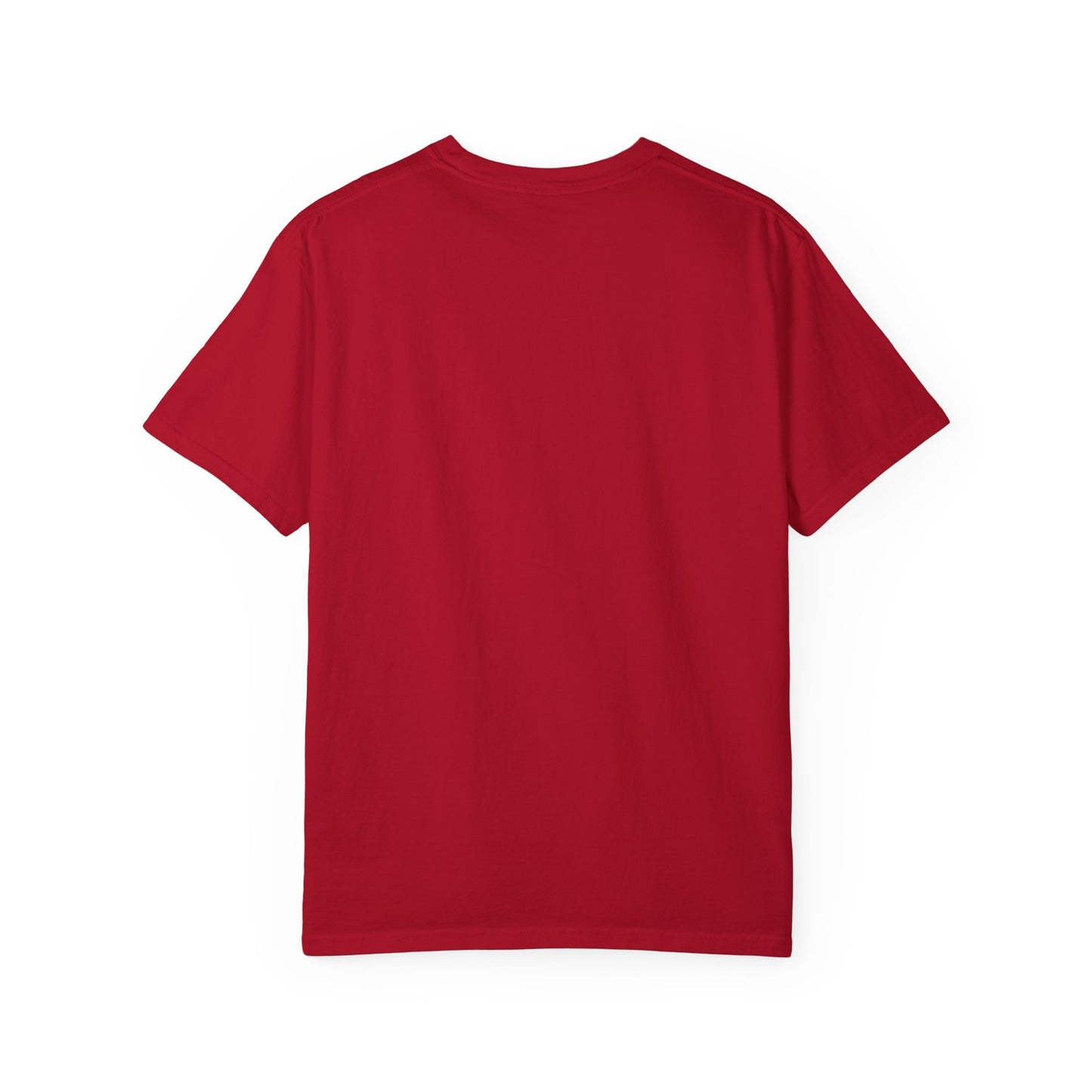 Blessed and Highly Favored T-Shirt – Christian Faith T-Shirt | Inspirational Religious Tee