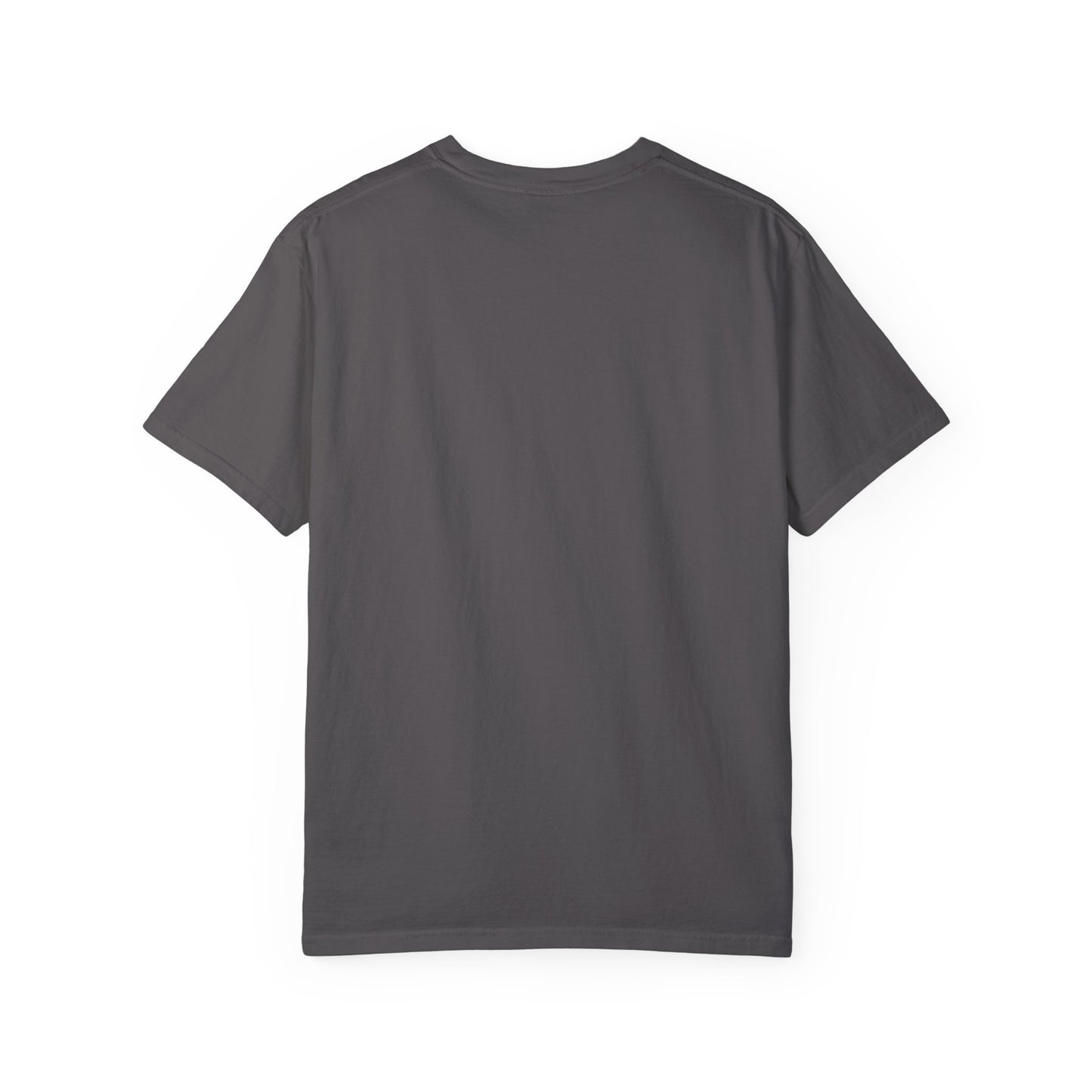 Blessed and Highly Favored T-Shirt – Christian Faith T-Shirt | Inspirational Religious Tee