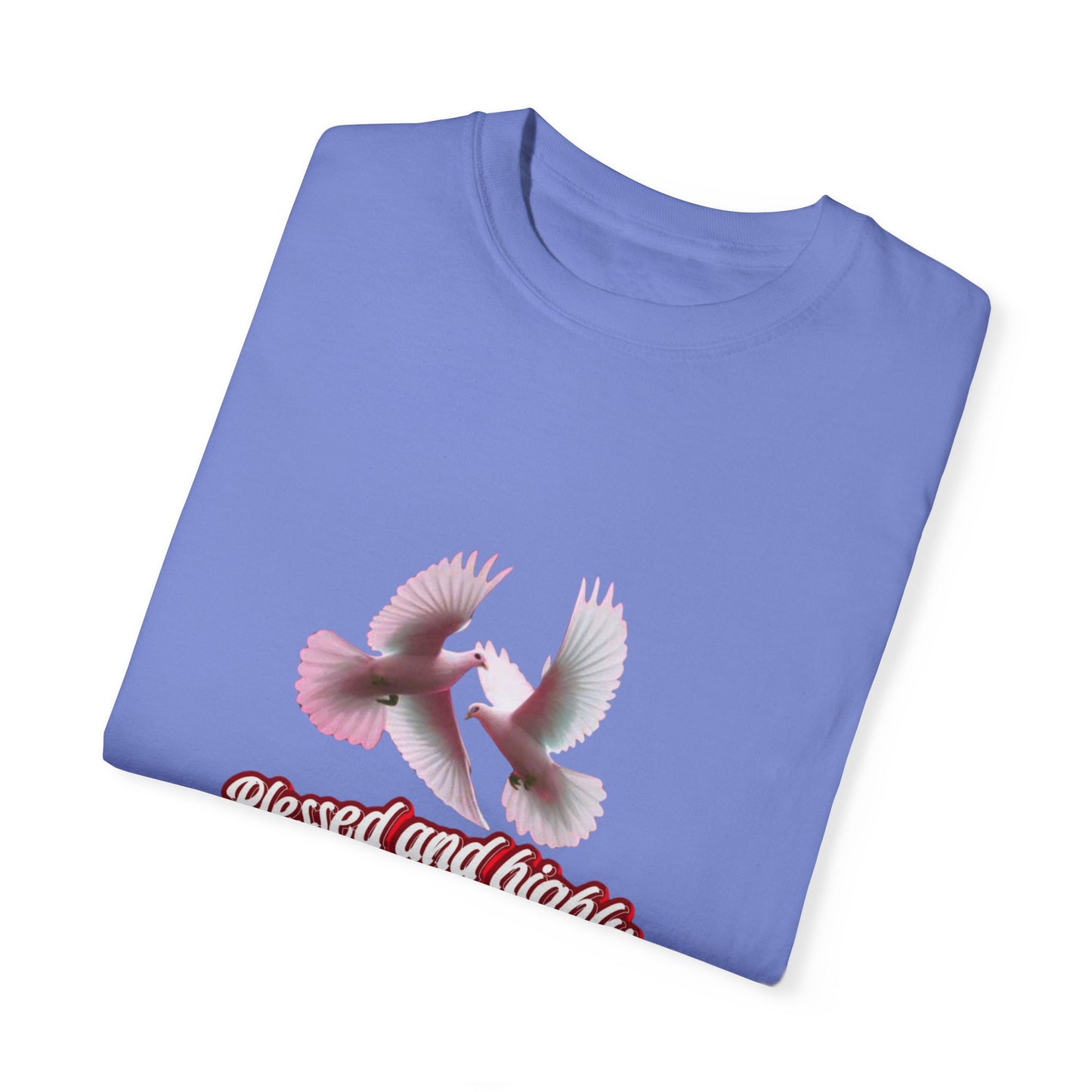 Blessed and Highly Favored T-Shirt – Christian Faith T-Shirt | Inspirational Religious Tee