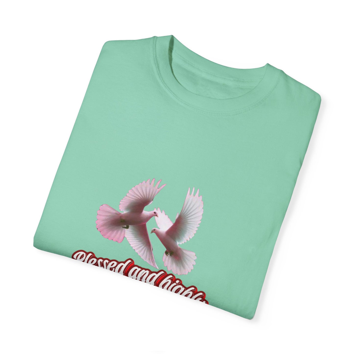 Blessed and Highly Favored T-Shirt – Christian Faith T-Shirt | Inspirational Religious Tee