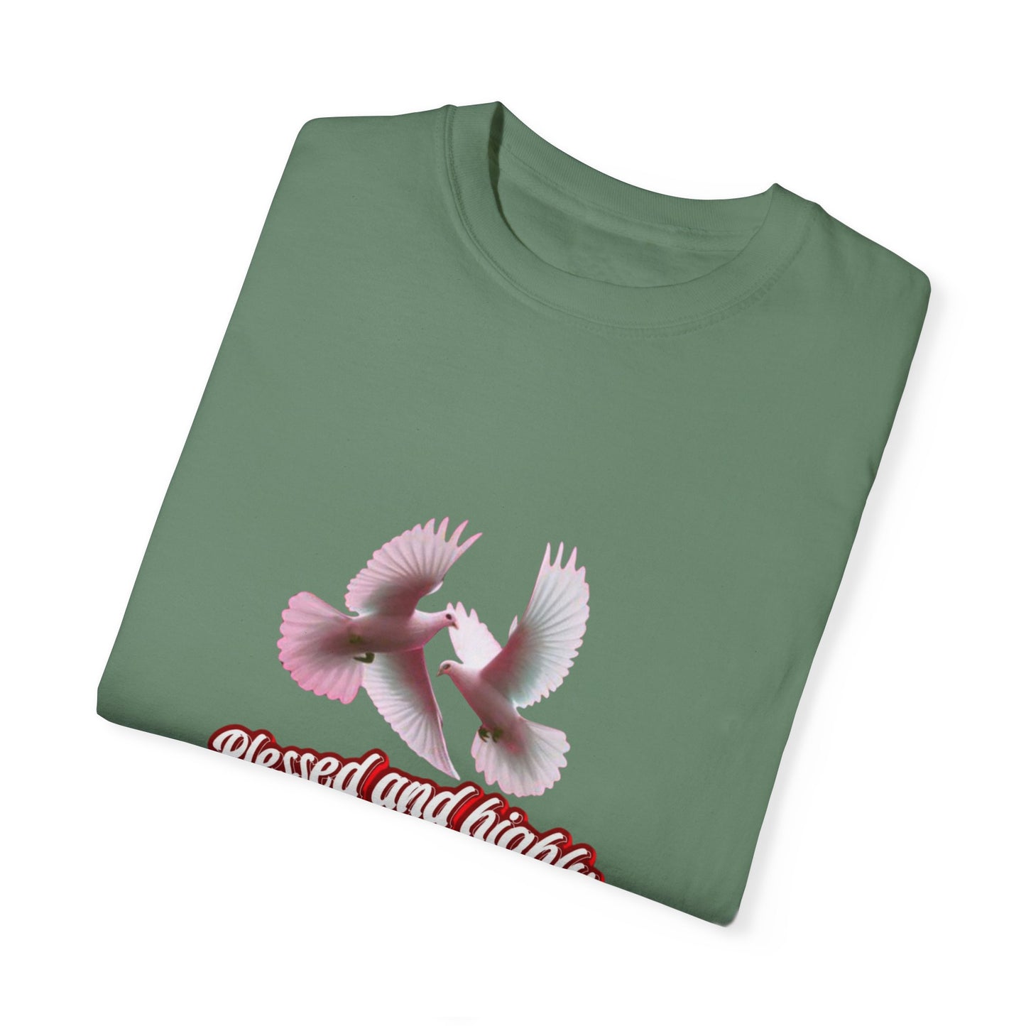 Blessed and Highly Favored T-Shirt – Christian Faith T-Shirt | Inspirational Religious Tee