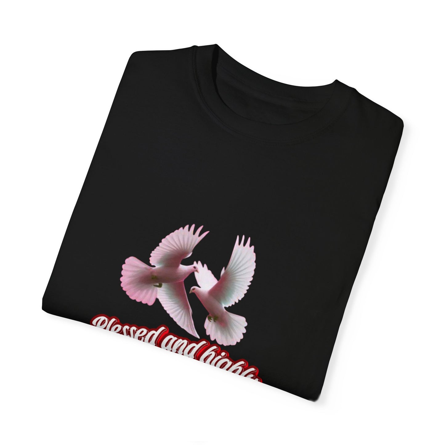 Blessed and Highly Favored T-Shirt – Christian Faith T-Shirt | Inspirational Religious Tee