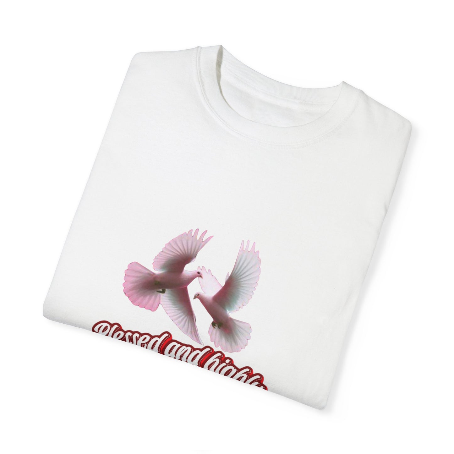 Blessed and Highly Favored T-Shirt – Christian Faith T-Shirt | Inspirational Religious Tee