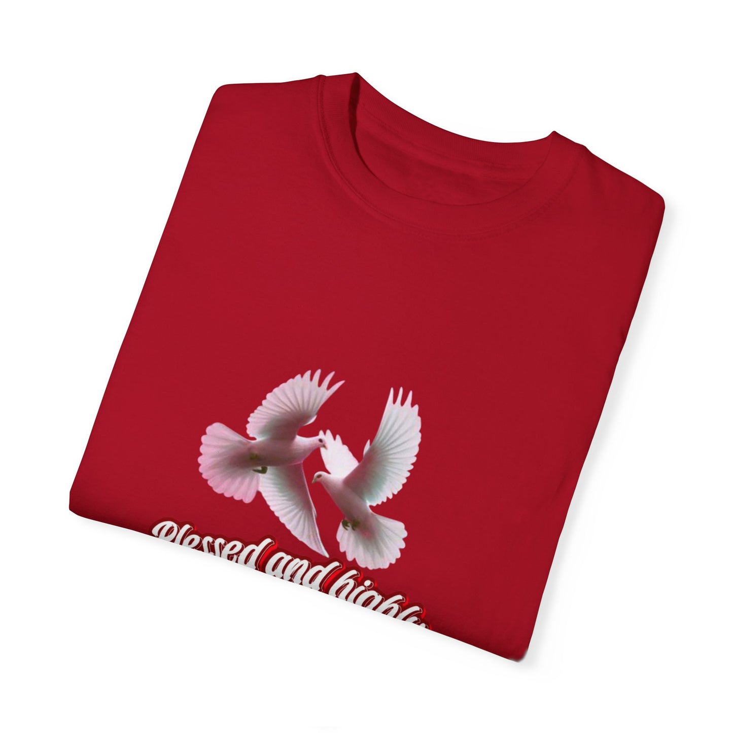Blessed and Highly Favored T-Shirt – Christian Faith T-Shirt | Inspirational Religious Tee