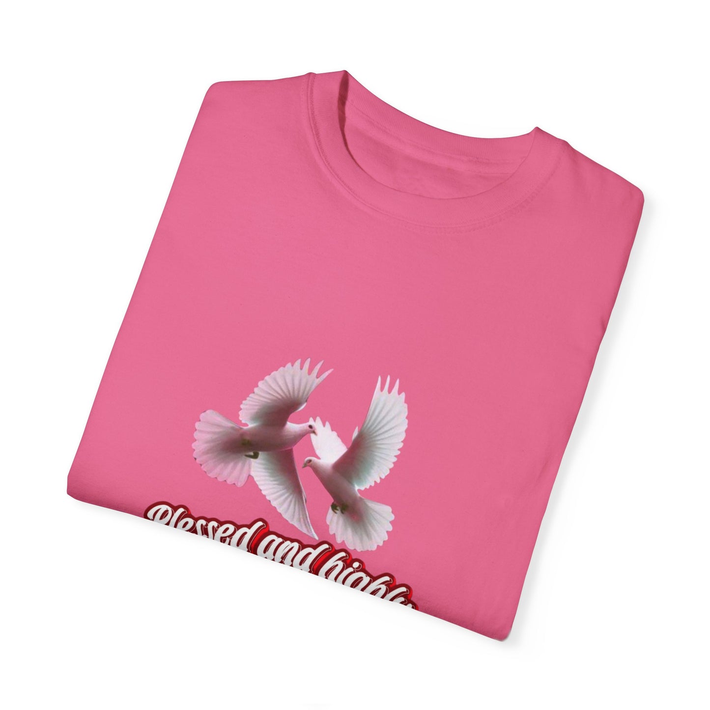 Blessed and Highly Favored T-Shirt – Christian Faith T-Shirt | Inspirational Religious Tee