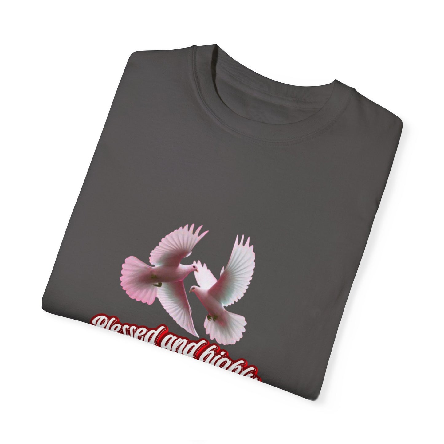 Blessed and Highly Favored T-Shirt – Christian Faith T-Shirt | Inspirational Religious Tee