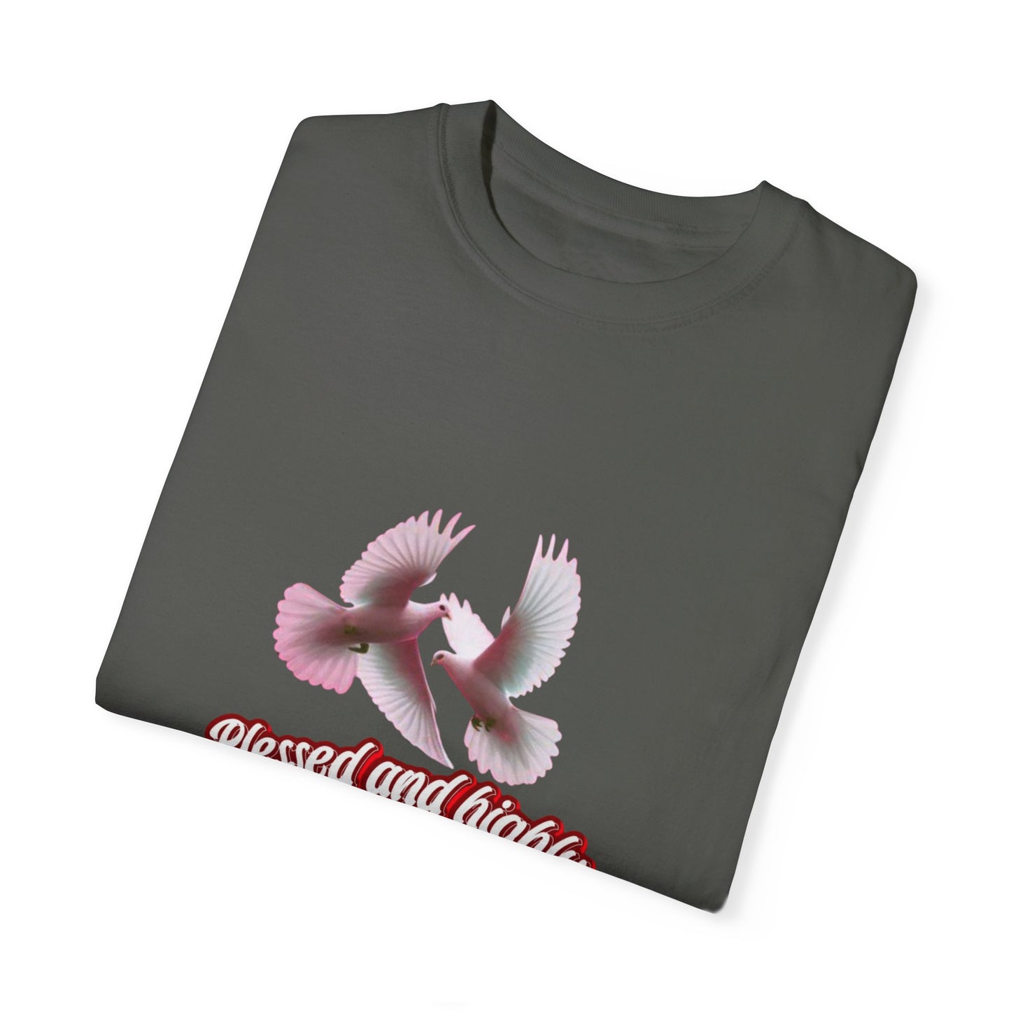 Blessed and Highly Favored T-Shirt – Christian Faith T-Shirt | Inspirational Religious Tee